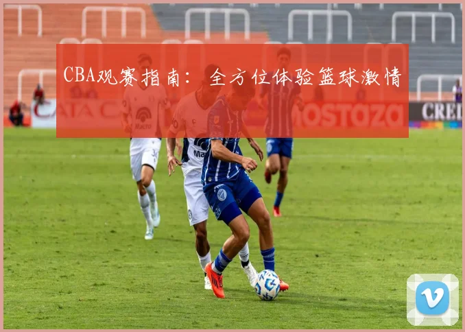 CBA观赛指南：全方位体验篮球激情